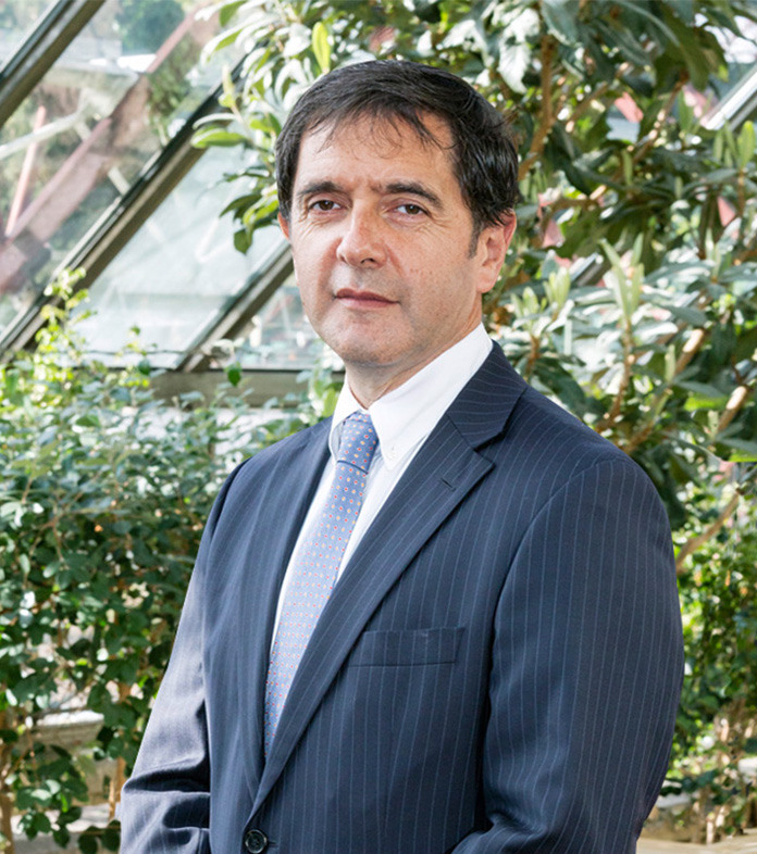 Ramón del Pino